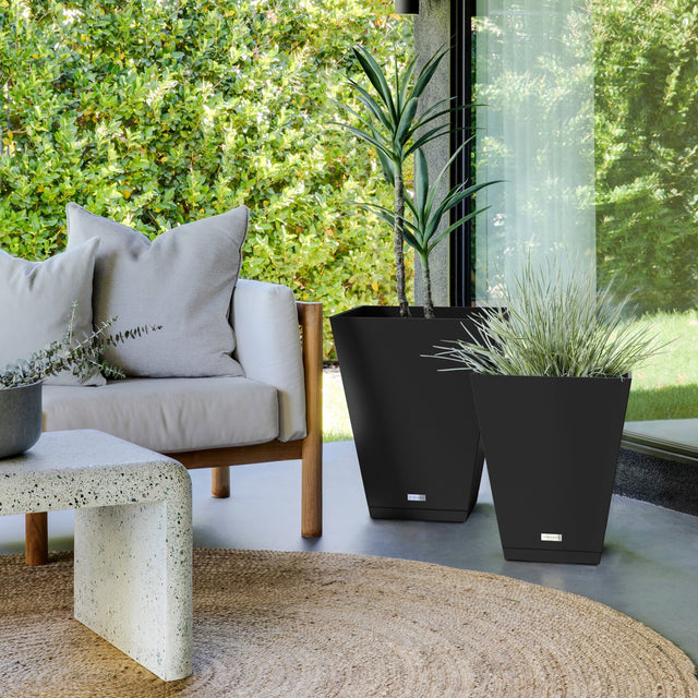 pure nobleton – the only tray™