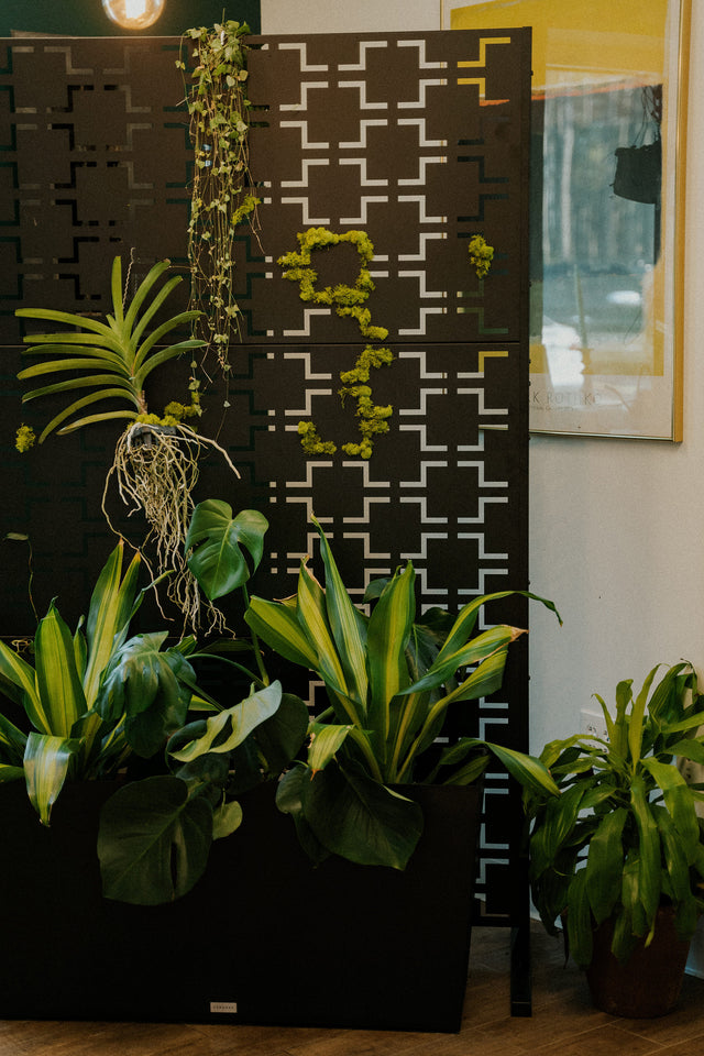 how to make a botanical privacy screen