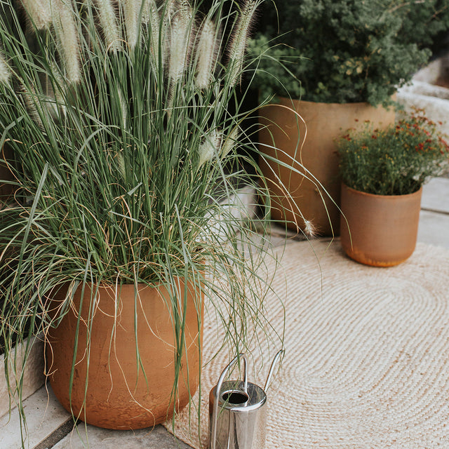 patina kona planter trio