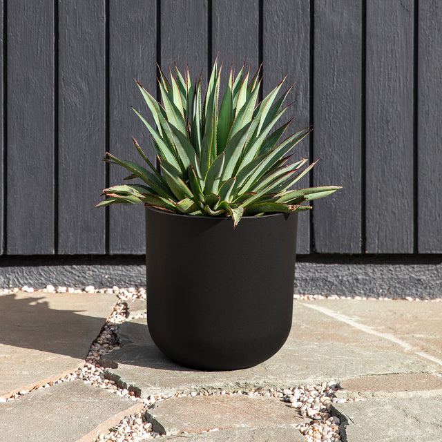 mason kona planter