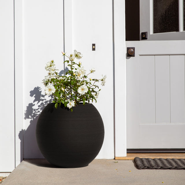 sphere planter