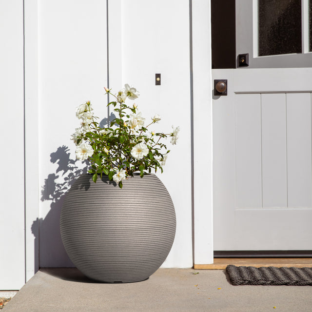 sphere planter
