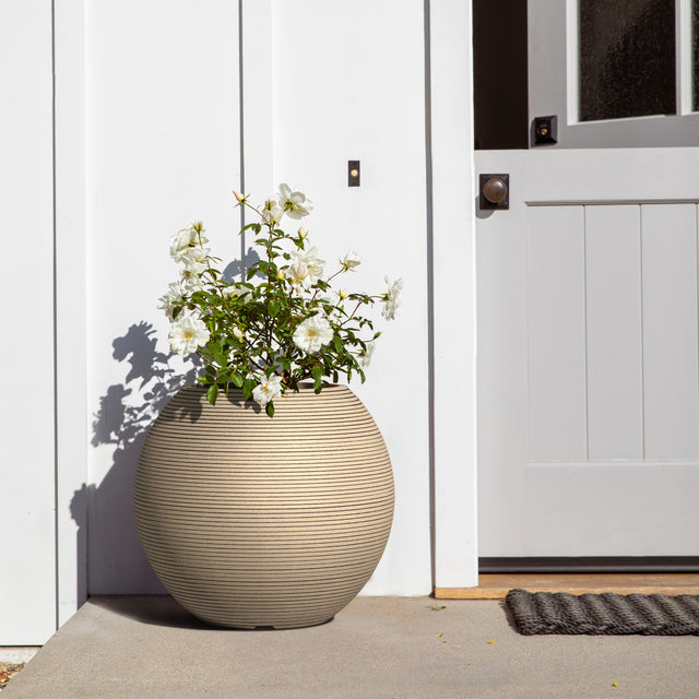 sphere planter