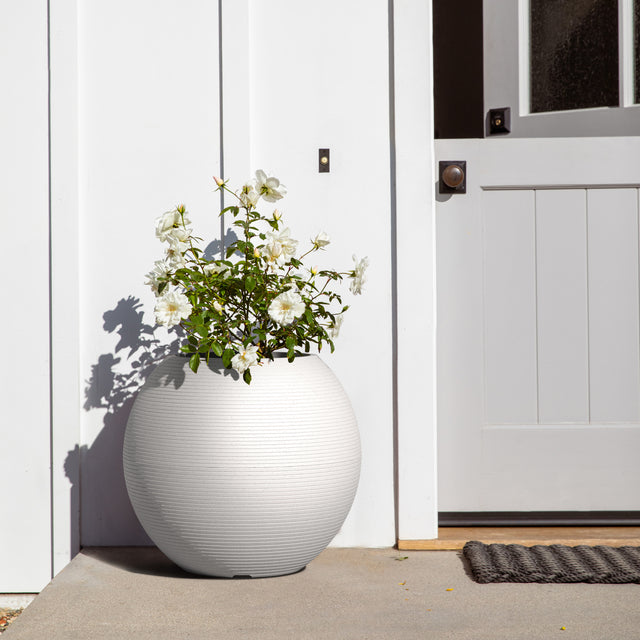 sphere planter
