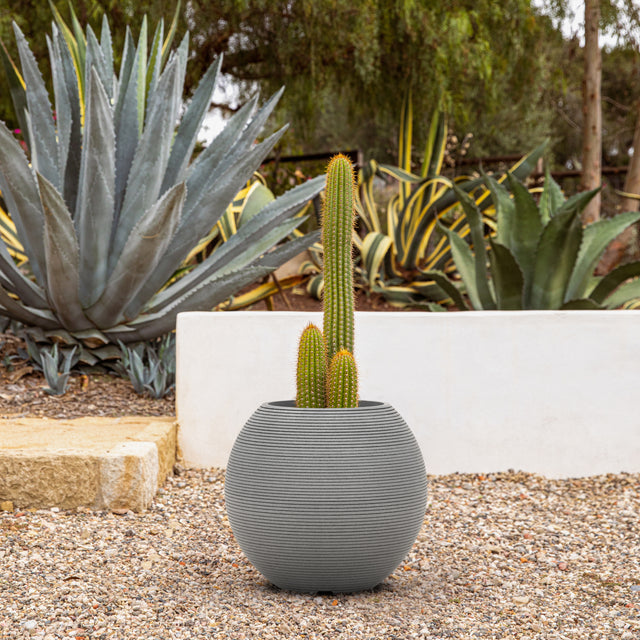 sphere planter