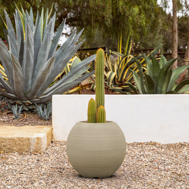 sphere planter