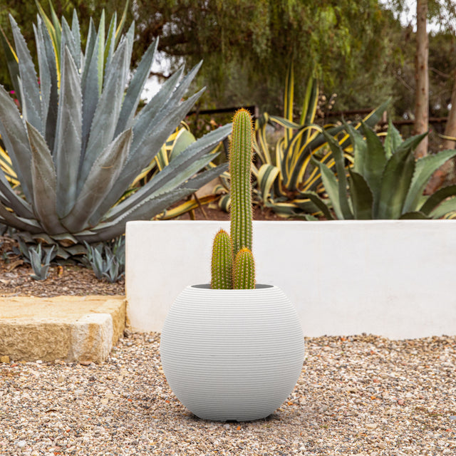 sphere planter
