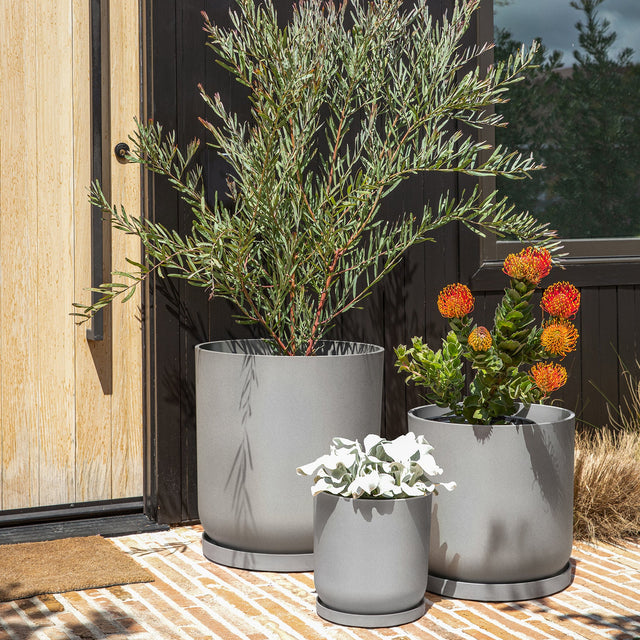 mason kona planter trio