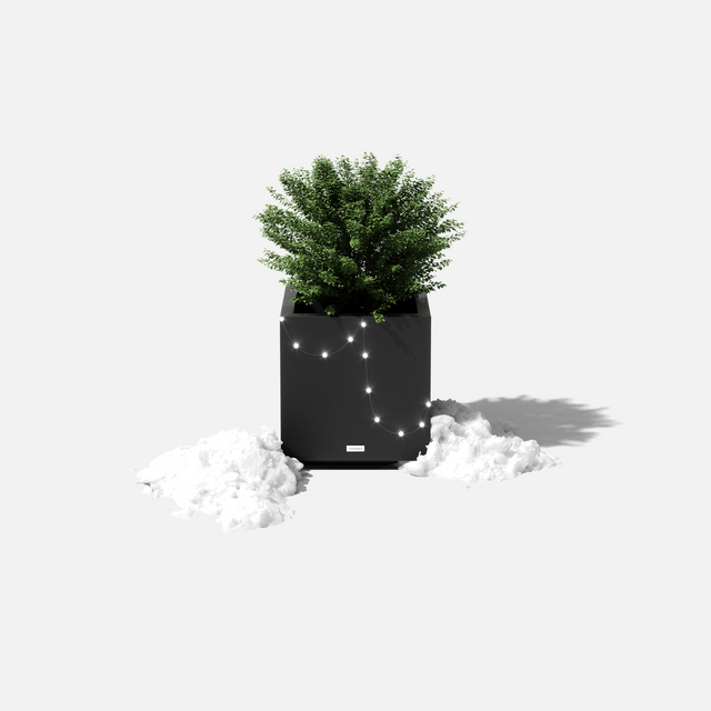 block cube planter