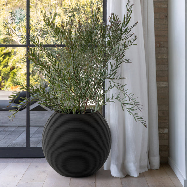 sphere planter