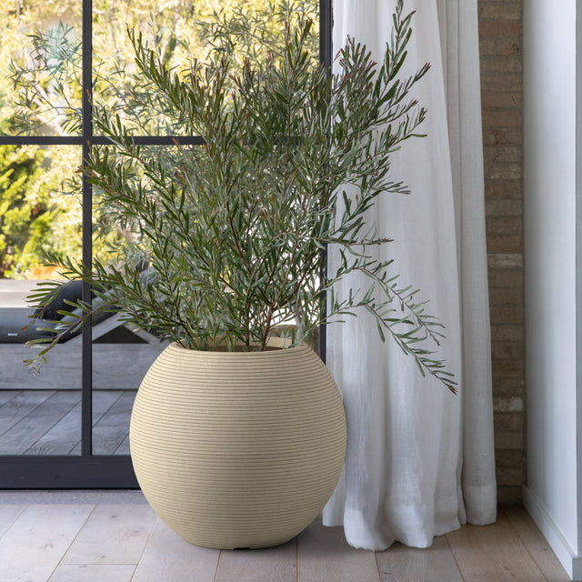 sphere planter