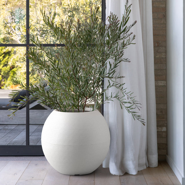 sphere planter