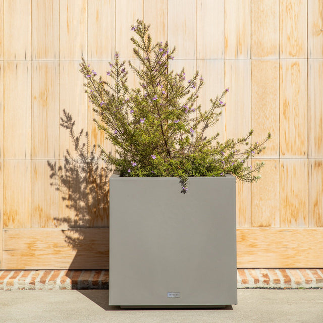 block cube planter