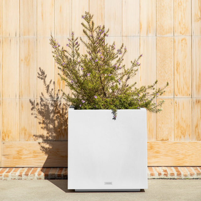 block cube planter