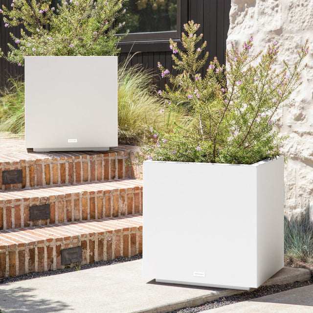 block cube planter