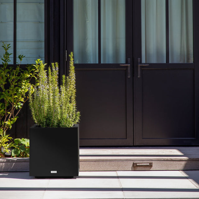 block cube planter