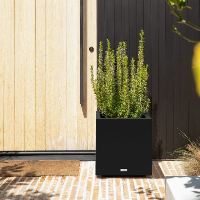 block cube planter