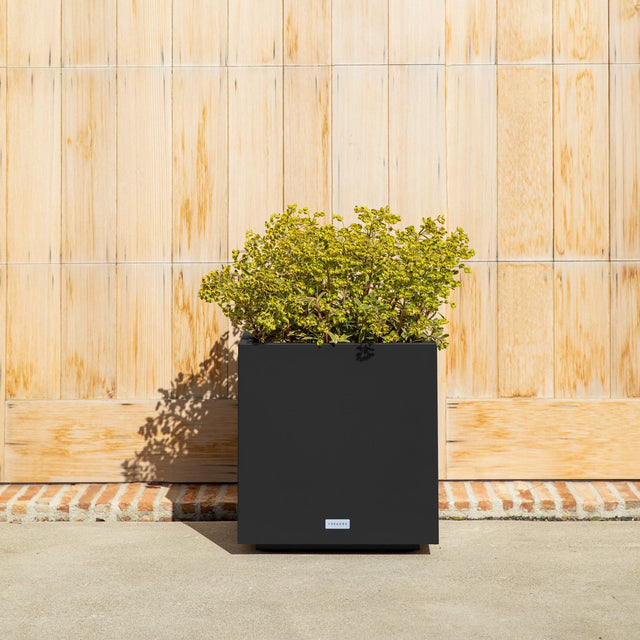 block cube planter