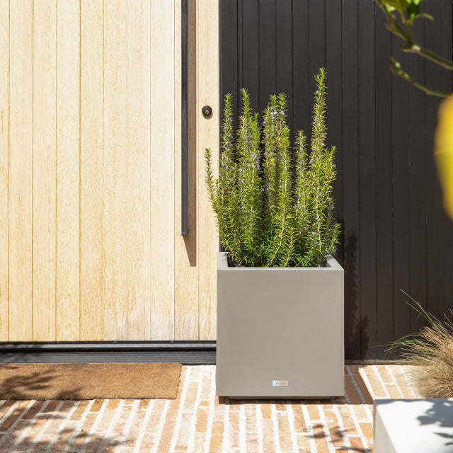 block cube planter