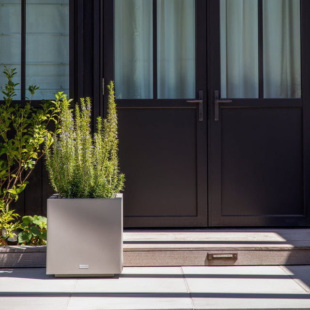 block cube planter