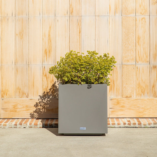 block cube planter