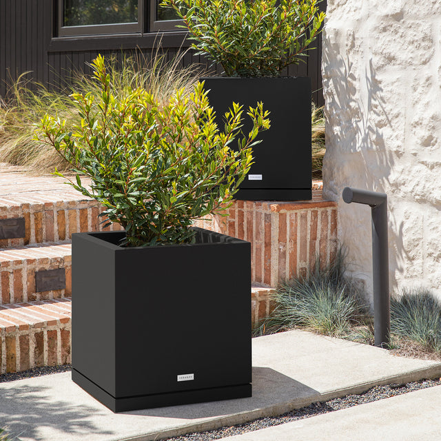 block cube – the only tray™