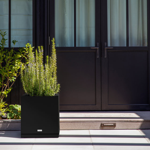block cube – the only tray™