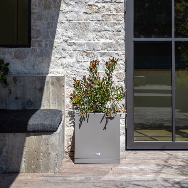 block cube – the only tray™