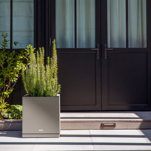 block cube – the only tray™