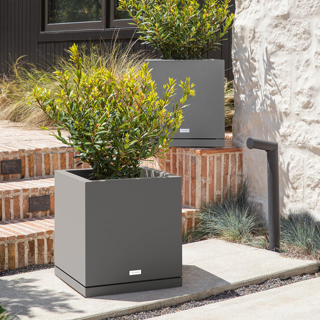 block cube – the only tray™