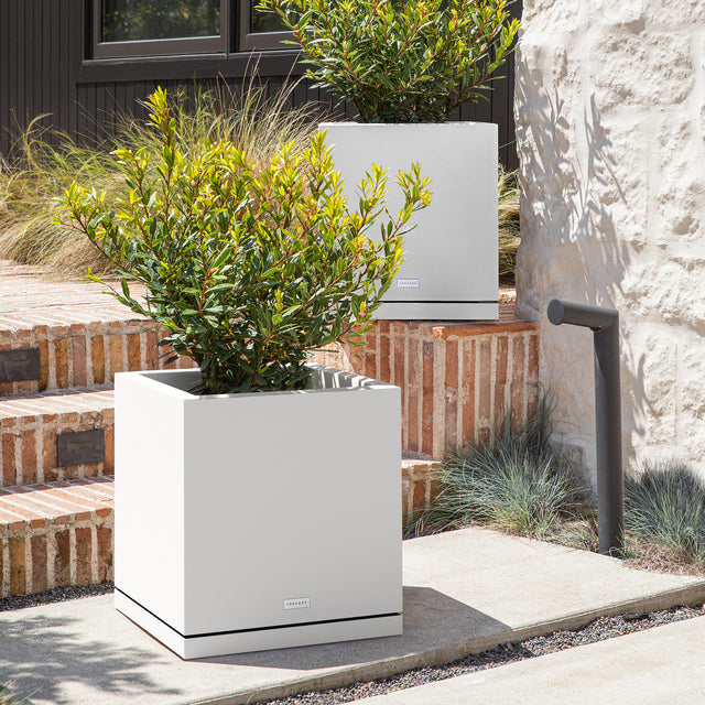 block cube – the only tray™