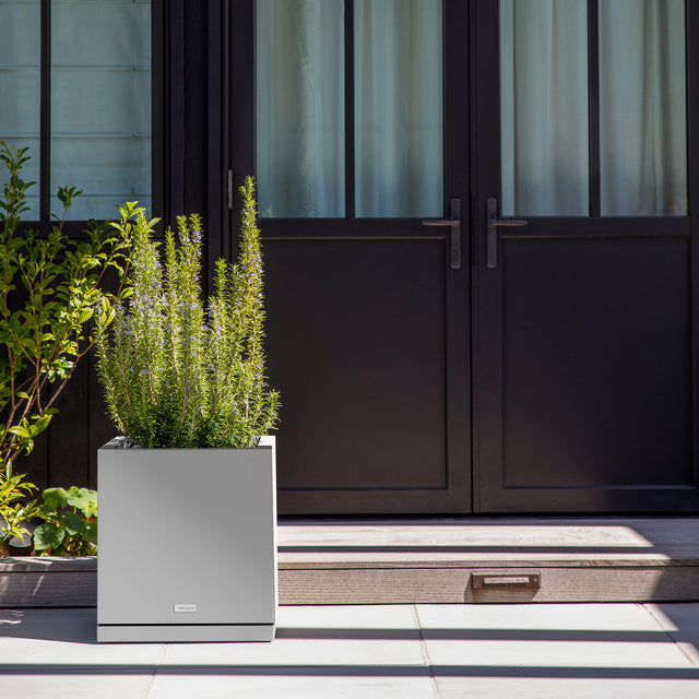 block cube – the only tray™