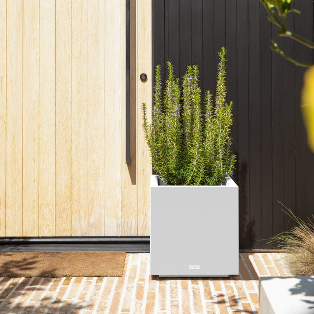 block cube planter