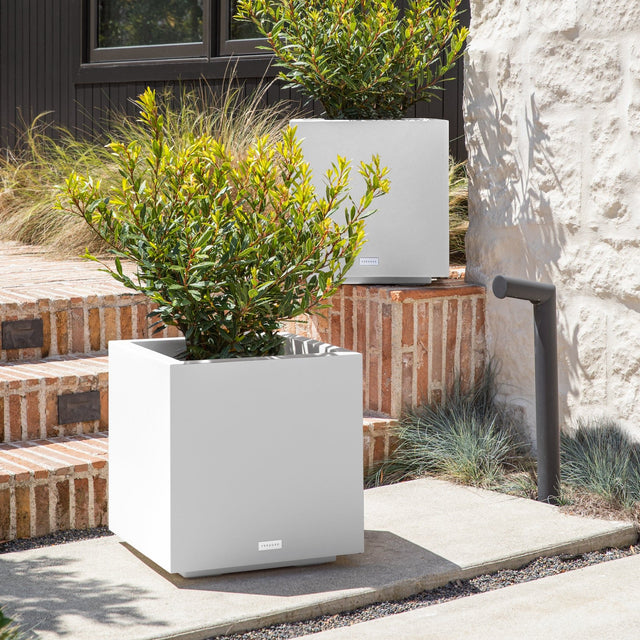 block cube planter