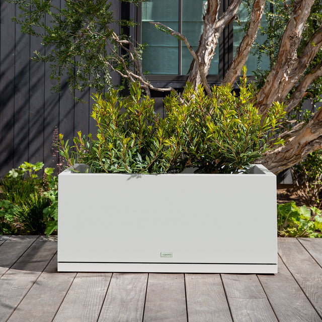 block long box – the only tray™