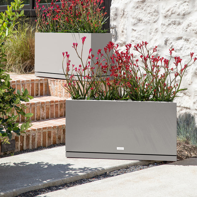 block long box – the only tray™