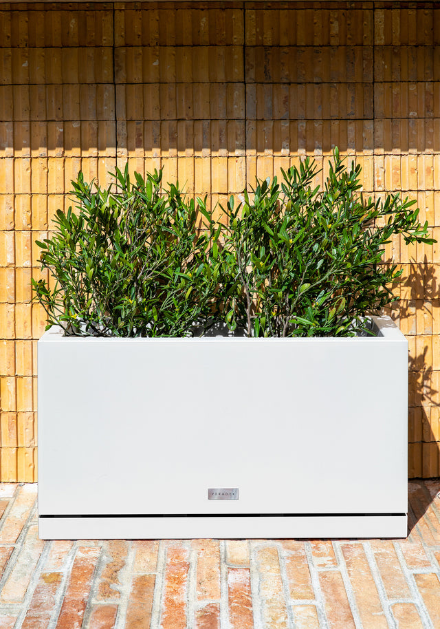 block long box planter