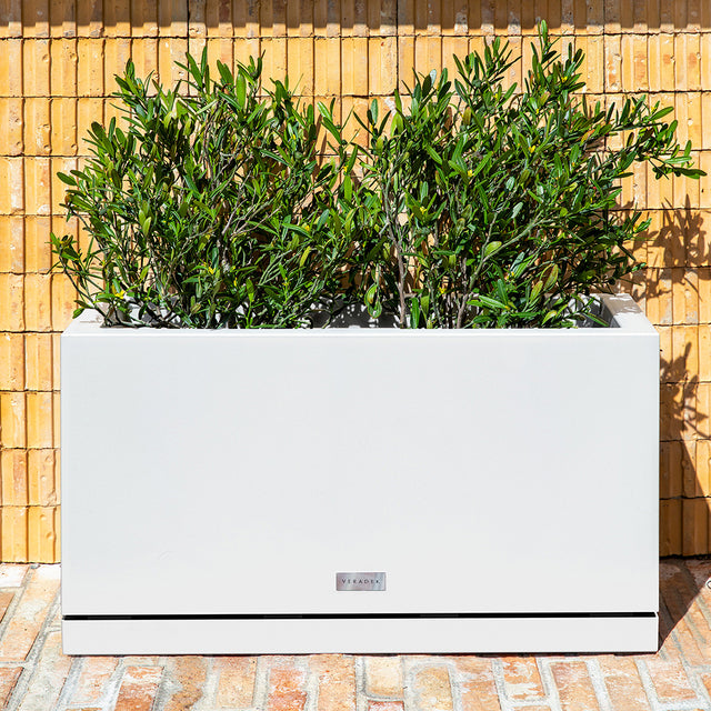 block long box – the only tray™