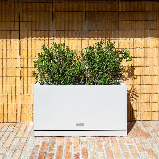block long box planter