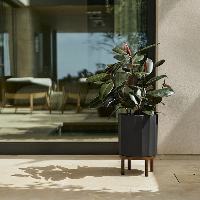 column raised planter