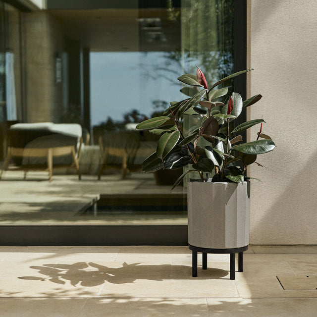 column raised planter