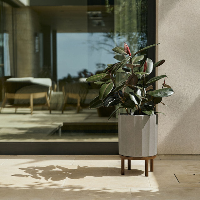 column raised planter