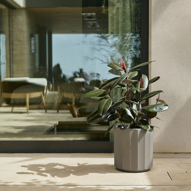 column planter