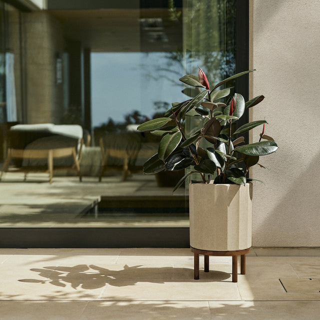 column raised planter