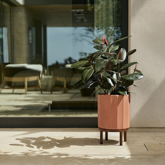 column raised planter