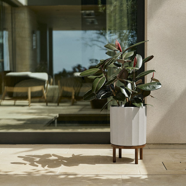 column raised planter