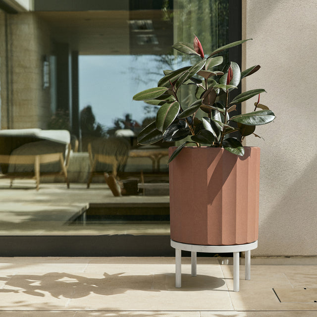 column raised planter