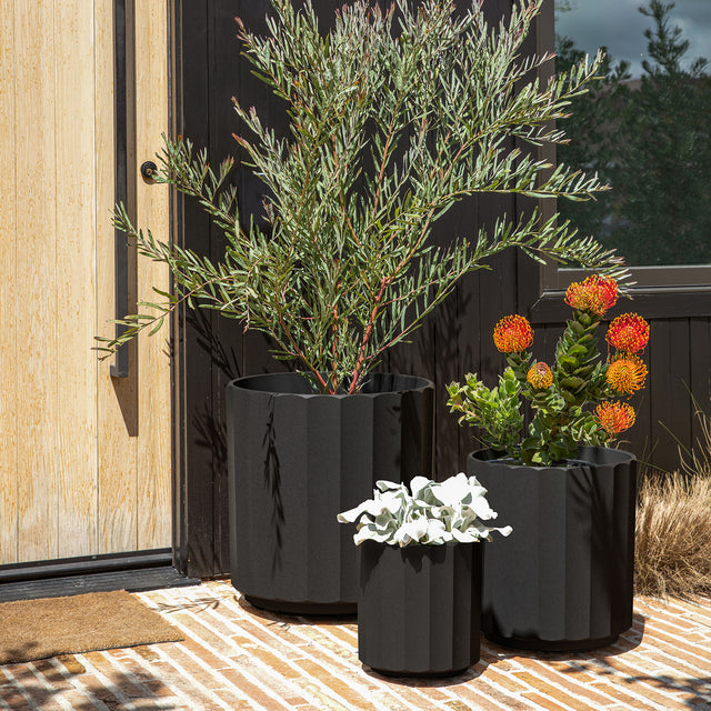 column planter trio