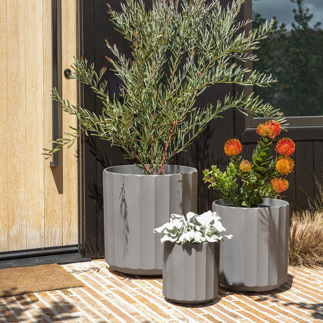 column planter trio