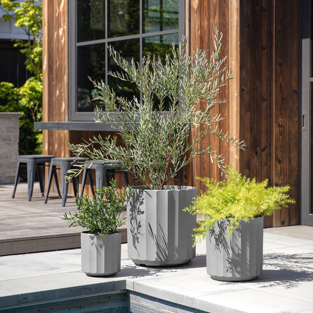 column planter trio